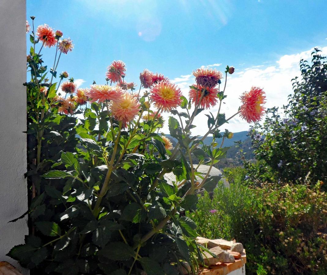 Charming House Ideal For Couples And Young Familie Tárbena Εξωτερικό φωτογραφία